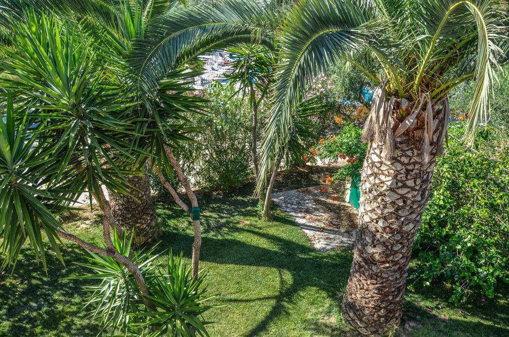 Olive Grove Apts Lithakia  Eksteriør bilde